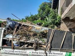 Best Yard Waste Removal  in Pine Brook, NJ